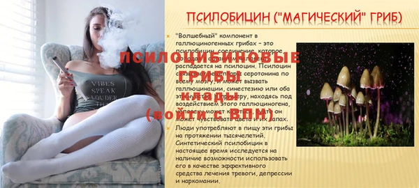 амфетамин Белокуриха