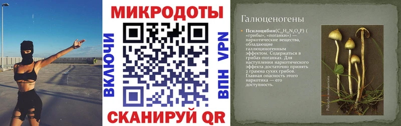 MEGA ССЫЛКА  Гороховец  Псилоцибиновые грибы мухоморы 